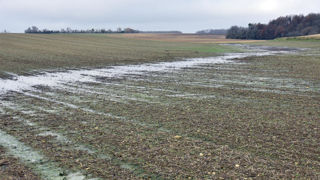 Selon le Haut-conseil pour le climat, les crises climatiques (inondations, sécheresses...) ont un fort impact sur l'économie du secteur agricole.