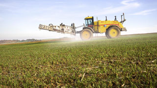 Les herbicides contenant du flufénacet pourront être utilisés par les agriculteurs français jusqu'au 10 décembre 2026. Les herbicides contenant du flufénacet pourront être utilisés par les agriculteurs français jusqu'au 10 décembre 2026.