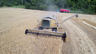 Au 30 juin 2025, les moissons d’orge d’hiver étaient en moyenne réalisées à hauteur de 70 % de la sole.
