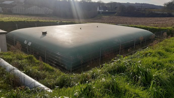 Les étapes pour récupérer l’eau de pluie en élevage porcin