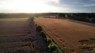 Des investissements favorables à la biodiversité pourraient être rémunérés par ces crédits nature.