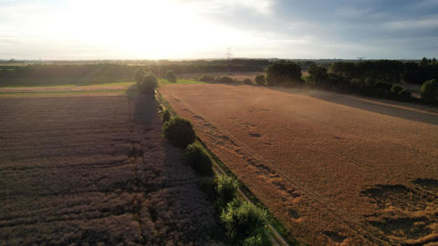 Des investissements favorables à la biodiversité pourraient être rémunérés par ces crédits nature.
