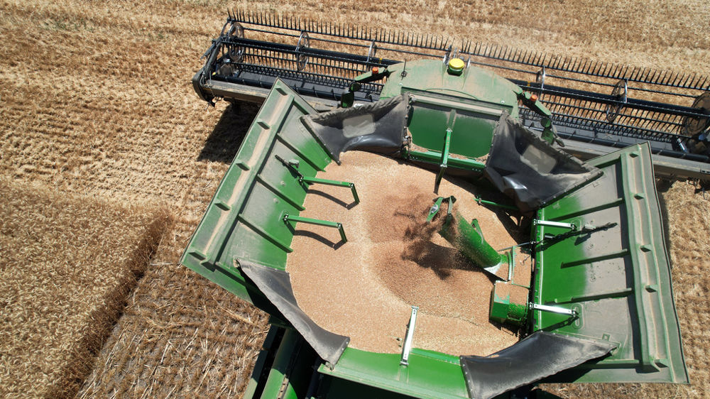 La FAO prévoit une production mondiale de céréales de 2 925,4 millions de tonnes pour la campagne 2025-2026.
