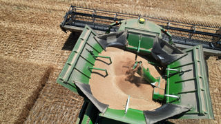 La FAO prévoit une production mondiale de céréales de 2 925,4 millions de tonnes pour la campagne de 2025-2026.