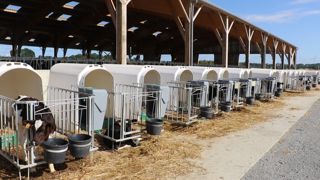 La plupart des éleveurs ont des craintes sur le volet sanitaire de l'élevage en collectif des jeunes veaux. La plupart des éleveurs ont des craintes sur le volet sanitaire de l'élevage en collectif des jeunes veaux.