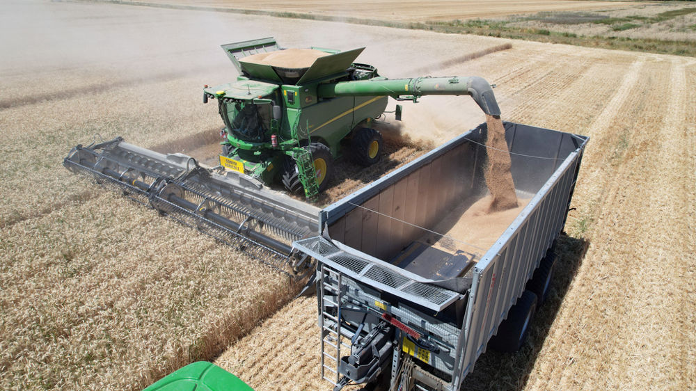 Malgré une avancée rapide de la moisson en France, le blé rendu Rouen gagne 5 €/t depuis une semaine.
