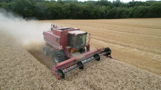 Le Copa Cogeca prévoit un redressement de la production de céréales dans l'Union européenne en 2025.