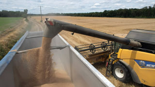 La relative stabilité des prix est liée à la fois à « des incertitudes » du marché et « aux fondamentaux » agricoles, notamment des rendements de blé décevants en Russie. La relative stabilité des prix est liée à la fois à « des incertitudes » du marché et « aux fondamentaux » agricoles, notamment des rendements de blé décevants en Russie.