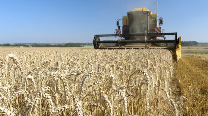 Premier bilan de la moisson 2025 pour Soufflet Agriculture