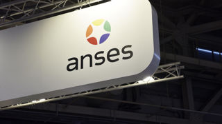 Le décret, objet du recours auprès du Conseil d’État, prévoit de réviser le calendrier de travail de l’Anses sur les autorisations de mise sur le marché des produits phytosanitaires.