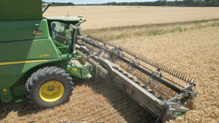 Au cœur de l’été et des moissons, « le marché stagne », entre faible demande et rétention de la part des producteurs confrontés à des prix insuffisamment rémunérateurs, résume Edward de Saint-Denis, courtier chez Plantureux.