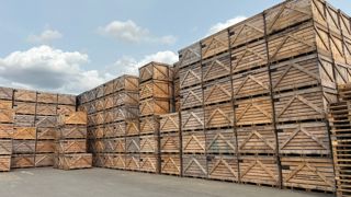 Il est conseillé d'exposer les palox de stockage de pommes de terre à l'air libre pour réduire la présence de résidus de CIPC.