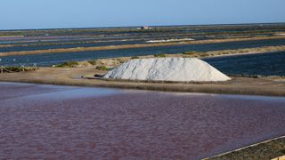 Dans l'Aude, en plein cœur du parc régional de la Narbonnaise, les Salins de l’île Saint-Martin dévoilent leurs eaux roses et leurs camelles, des montagnes de sel pouvant atteindre 10 mètres de hauteur.