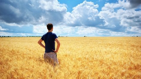 Contrairement à ce que l'on croit, les Nima ne s'installent pas que sur des petites structures, peu demandeuses en ressources financières et humaines, met en avant cette étude.
