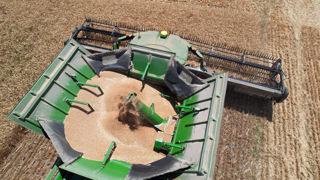 Les producteurs du monde entier retiennent leurs volumes, en attente de prix plus rémunérateurs.