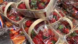 La production française de fraises est estimée à 71 500 tonnes pour la campagne 2025, soit un volume stable sur un an.