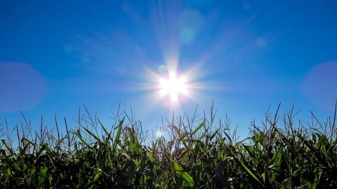 Un climat chaud et ensoleillé est annoncé en France.