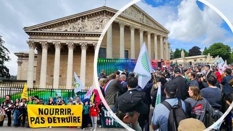 Tour à tour ces derniers mois, la Confédération paysanne d'un côté, la FNSEA et JA de l'autre, avaient manifesté contre ou en faveur de la loi Duplomb. Tour à tour ces derniers mois, la Confédération paysanne d'un côté, la FNSEA et JA de l'autre, avaient manifesté contre ou en faveur de la loi Duplomb.