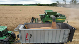 Alors que les moissons touchent à leur fin en France, le ministère de l’Agriculture a révisé à la hausse, le 8 août 2025, son estimation de la production de blé tendre, désormais évaluée à 33,1 millions de tonnes.