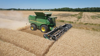 Alors que la récolte s'achève en avance en France, la production de blé tendre est estimée à 33,1 millions de tonnes en 2025, soit une hausse de 29 % sur un an, en raison d'un meilleur rendement (73,7 q/ha).