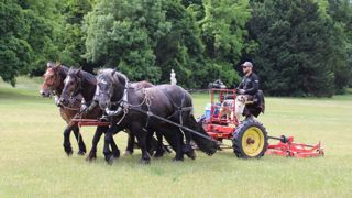 SMDA (groupe Cap Vert) lâche sa cavalerie dans les espaces verts