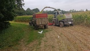 C’est parti pour les ensilages de maïs 2025 ! C’est parti pour les ensilages de maïs 2025 !
