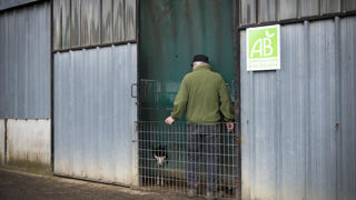 Les Régions et Länder ont renforcé leur soutien à l'agriculture biologique depuis les années 1980. Les Régions et Länder ont renforcé leur soutien à l'agriculture biologique depuis les années 1980.