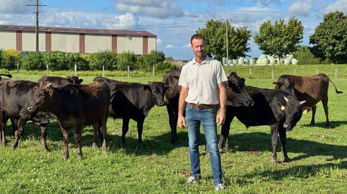 « J’ai remplacé mon élevage laitier par de l’engraissement de wagyus »