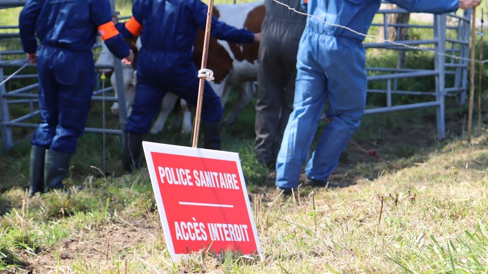 police sanitaire intervenant en Savoie pour des cas de DNC
