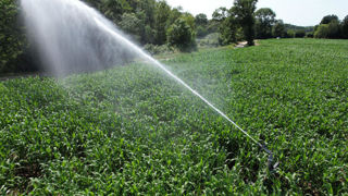 Des mesures s’appliquent temporairement pour les usages agricoles, en fonction du niveau de gravité de la restriction, ainsi que du type de prélèvement. Des mesures s’appliquent temporairement pour les usages agricoles, en fonction du niveau de gravité de la restriction, ainsi que du type de prélèvement.