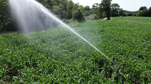Des mesures s’appliquent temporairement pour les usages agricoles, en fonction du niveau de gravité de la restriction, ainsi que du type de prélèvement. Des mesures s’appliquent temporairement pour les usages agricoles, en fonction du niveau de gravité de la restriction, ainsi que du type de prélèvement.