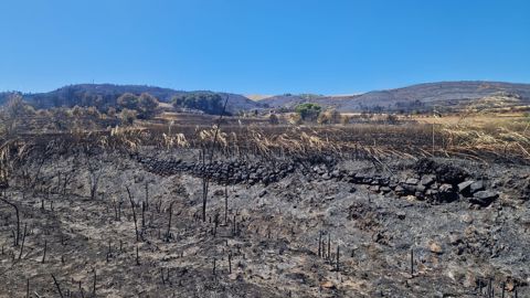 Dans les Corbières, un violent incendie a parcouru 16 000 hectares, causant de grands dégâts pour l'agriculture locale. Dans les Corbières, un violent incendie a parcouru 16 000 hectares, causant de grands dégâts pour l'agriculture locale.
