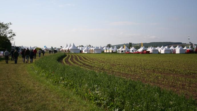 Le programme des Culturales est disponible.