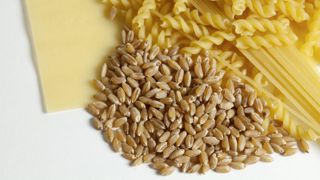 57 % des échantillons de blé dur récoltés en 2025 présentent un poids spécifique supérieur à 79 kg/hl. 57 % des échantillons de blé dur récoltés en 2025 présentent un poids spécifique supérieur à 79 kg/hl.