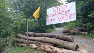 Les manifestants ont pris la décision de lever le blocage ce vendredi matin. La mobilisation visait à bloquer l'accès de l'alpage où se trouvait le foyer de dermatose bovine, pour éviter l'abattage des animaux par les services vétérinaires. Les manifestants ont pris la décision de lever le blocage ce vendredi matin. La mobilisation visait à bloquer l'accès de l'alpage où se trouvait le foyer de dermatose bovine, pour éviter l'abattage des animaux par les services vétérinaires.