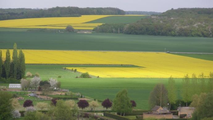 Terres agricoles