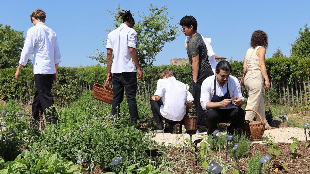 Présentation des plantes comestibles aux chefs à la ferme de Charly, dans le Rhône.