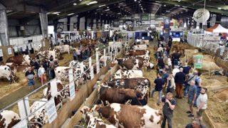 L'édition de 2025 du Space se déroulera du 16 au 18 septembre.