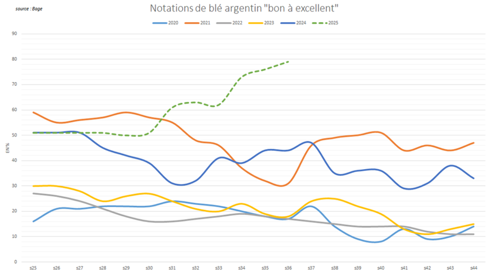 Les notations de blé en Argentine sont à des niveaux exceptionnels.