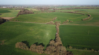 La Commission européenne propose notamment d'augmenter l'âge de basculement des prairies temporaires en permanentes dans la conditionnalité de cinq à sept ans. La Commission européenne propose notamment d'augmenter l'âge de basculement des prairies temporaires en permanentes dans la conditionnalité de cinq à sept ans.