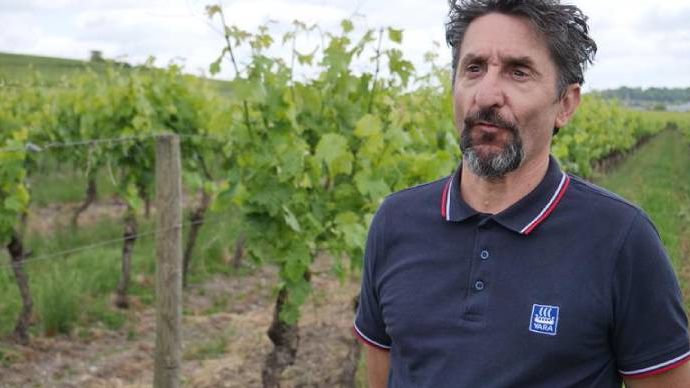 Les essais au champ confirment les effets sur vigne et pommes de terre