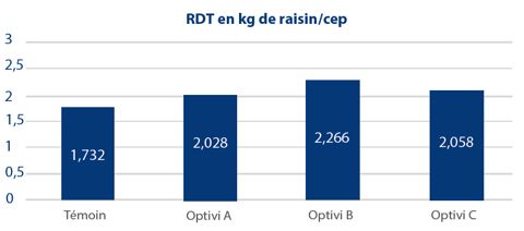 Effet obtenu selon le positionnement YaraAmplixTM OPTIVI® 2