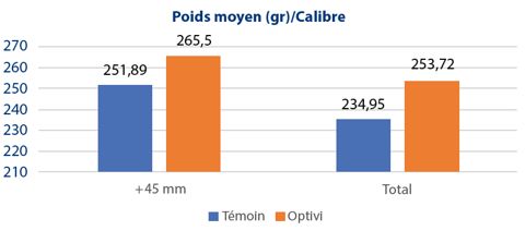 Effet d’OPTIVI® sur le calibre des pommes de terre, variété Orchestra Effet d’OPTIVI® sur le calibre des pommes de terre, variété Orchestra, après un traitement à 3 l/ha à la plantation