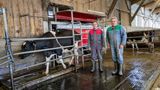 Dimitri Guérin et Philippe Bahier sont les premiers en Mayenne à avoir installé le pédiluve automatisé Hoofcount. Dimitri Guérin et Philippe Bahier sont les premiers en Mayenne à avoir installé le pédiluve automatisé Hoofcount.