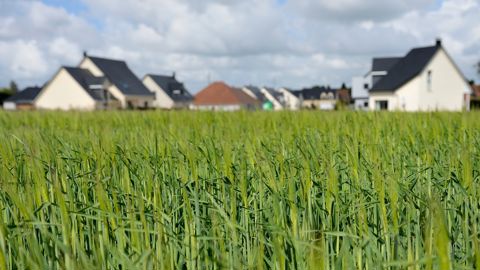 Lorsqu'une parcelle agricole est reclassée en zone urbaine, la résiliation du bail n'est possible par le bailleur que s'il présente un projet réel de construction.
