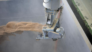 Les prix des céréales et graines oléagineuses étaient en hausse modérée ces derniers jours sur les marchés américains et européens.