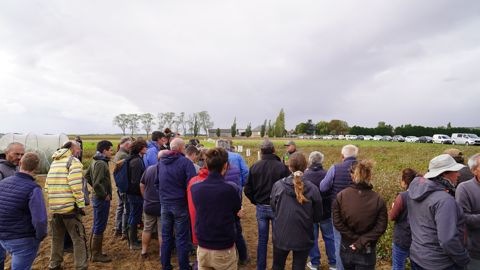 Entre opportunités et défis, la filière sarrasin cherche à se structurer. La Chambre d’agriculture d’Eure-et-Loir a réuni à Orsonville (Yvelines) agriculteurs, OS, collectivités, interprofession, sélectionneurs pour parler de l’avenir de la filière.