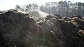 Les engrais Renure (pour « REcovered Nitrogen from manURE », ou « azote issu d’effluents d’élevage ») sont des produits fertilisants fabriqués à partir de fumiers ou de lisiers. Les engrais Renure (pour « REcovered Nitrogen from manURE », ou « azote issu d’effluents d’élevage ») sont des produits fertilisants fabriqués à partir de fumiers ou de lisiers.