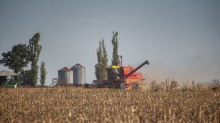 Pour encourager la liquidation des exportations de céréales, le gouvernement argentin avait déjà réduit les taxes sur les ventes extérieures en juillet dernier. Pour encourager la liquidation des exportations de céréales, le gouvernement argentin avait déjà réduit les taxes sur les ventes extérieures en juillet dernier.