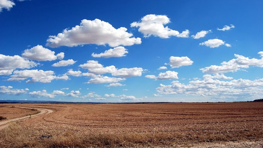 Champ labouré sous un ciel bleu